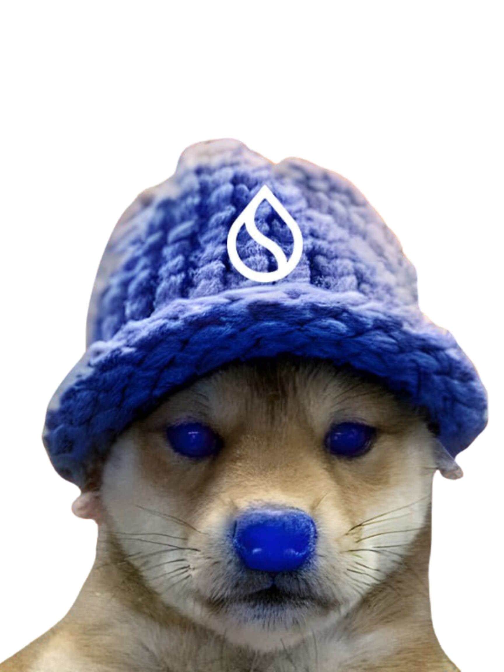 DOG WIF SUI - Meme Coin Mascot